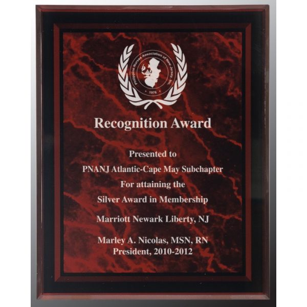 Silver Glass Acrylic Award