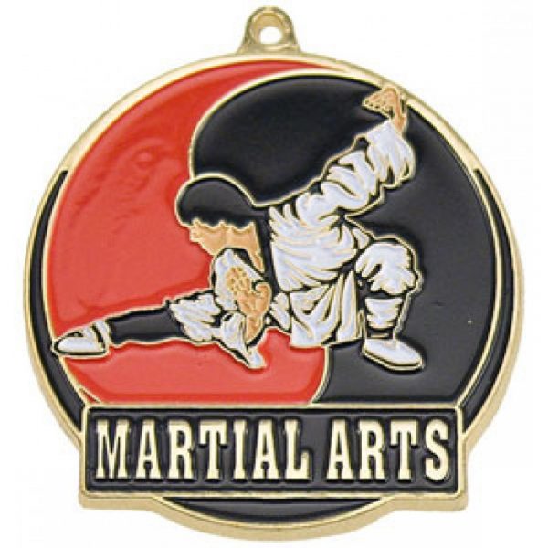 Martial Arts Medal